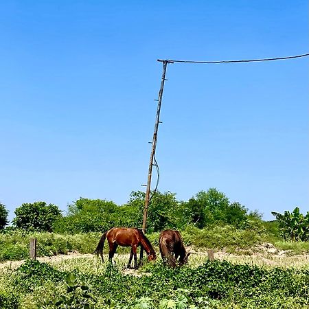 Tekri Farms And Retreat Hotel Ujjain Buitenkant foto
