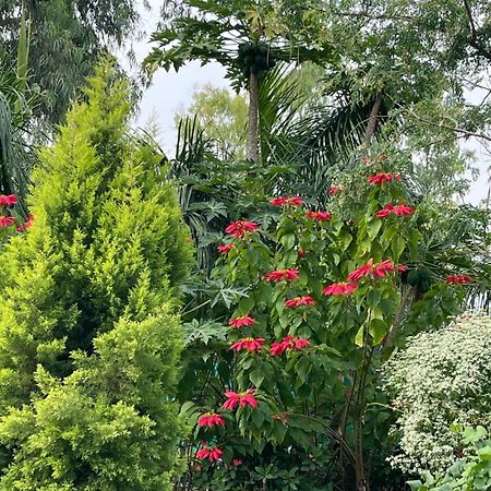 Tekri Farms And Retreat Hotel Ujjain Buitenkant foto