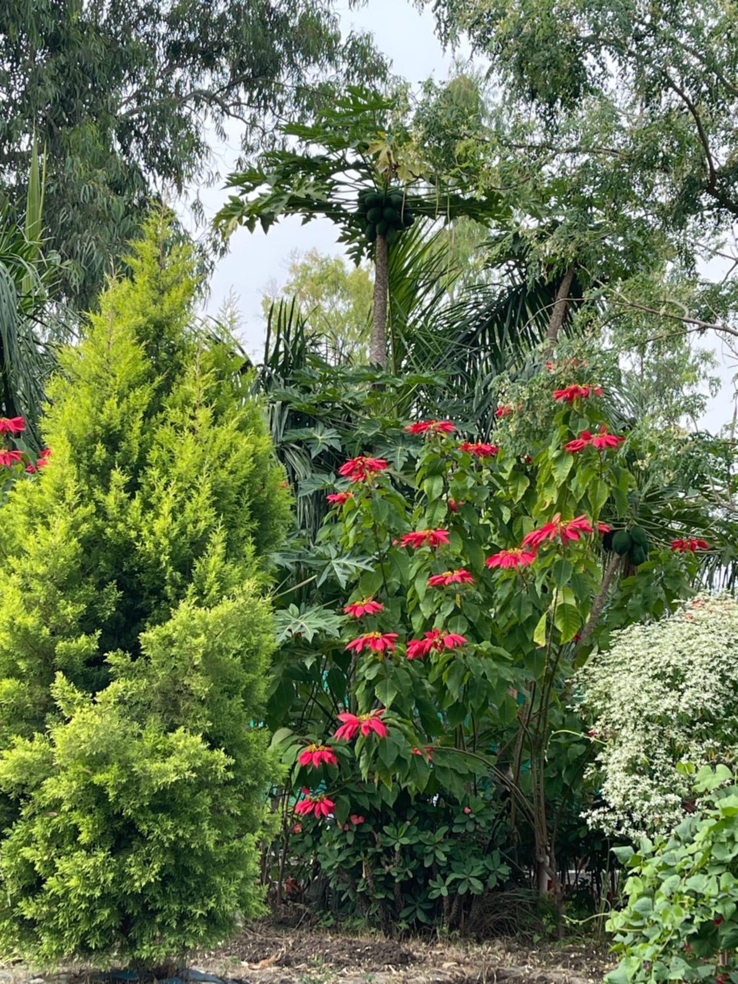 Tekri Farms And Retreat Hotel Ujjain Buitenkant foto