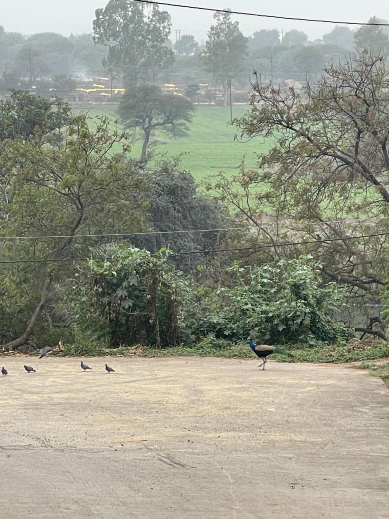 Tekri Farms And Retreat Hotel Ujjain Buitenkant foto