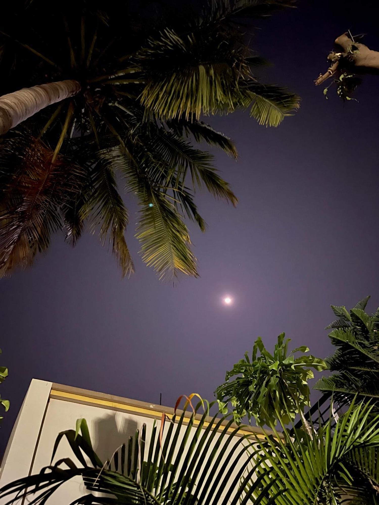 Tekri Farms And Retreat Hotel Ujjain Buitenkant foto