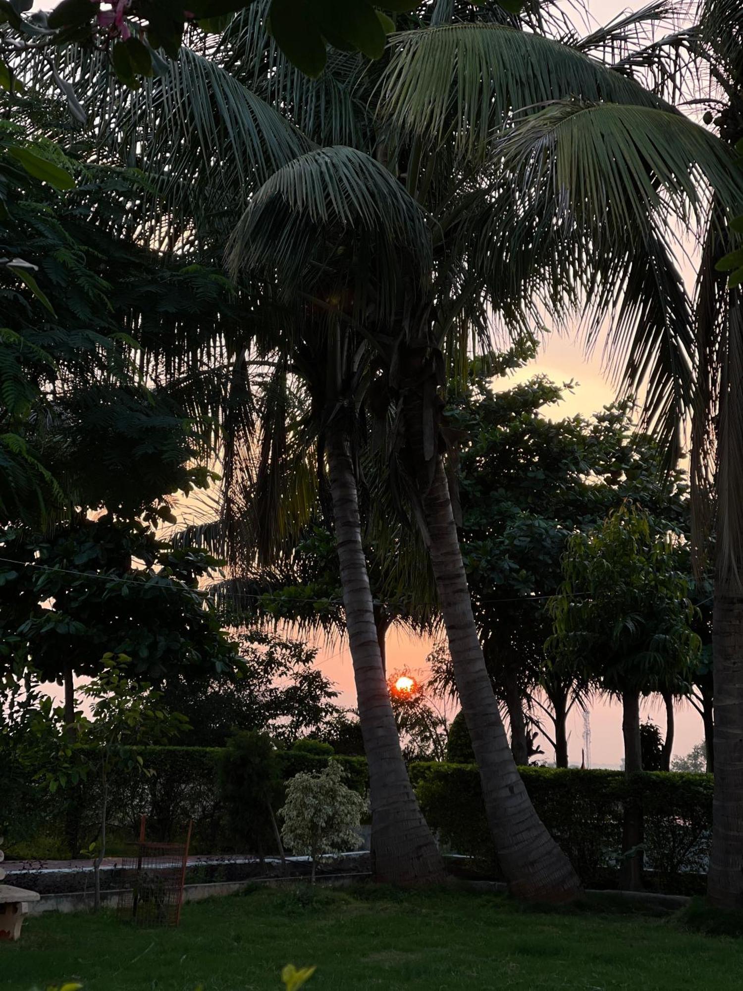 Tekri Farms And Retreat Hotel Ujjain Buitenkant foto
